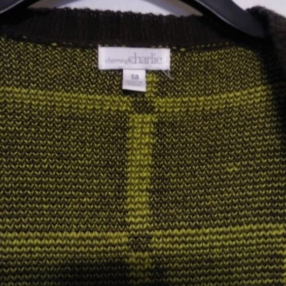 Charming Charlie Sweater - Picture 9 of 11